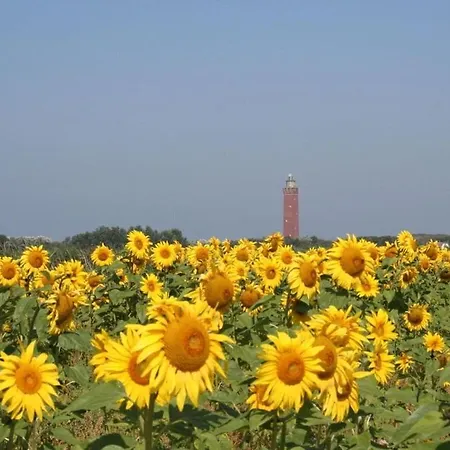 Nyaraló One-bedroom *